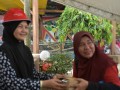 Tn DSC 7826